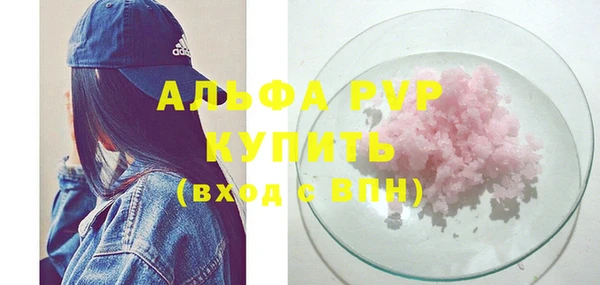 прущий лед Бородино