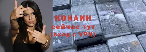 прущий лед Бородино