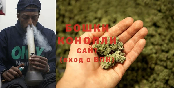 прущий лед Бородино