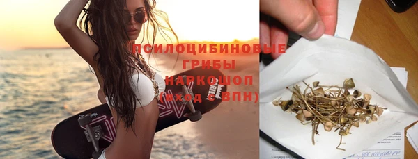 прущий лед Бородино