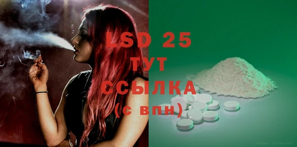 PSILOCYBIN Бугульма