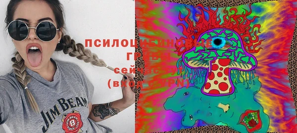 PSILOCYBIN Бугульма