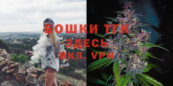 PSILOCYBIN Бугульма