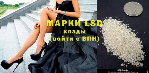 PSILOCYBIN Бугульма