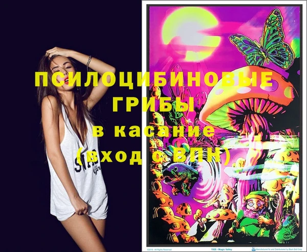 PSILOCYBIN Бугульма