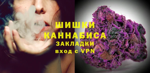 прущий лед Бородино