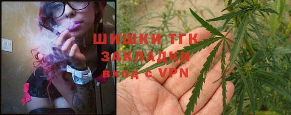прущий лед Бородино
