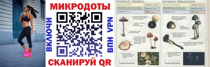 Галлюциногенные грибы Cubensis MEGA как зайти Новосокольники